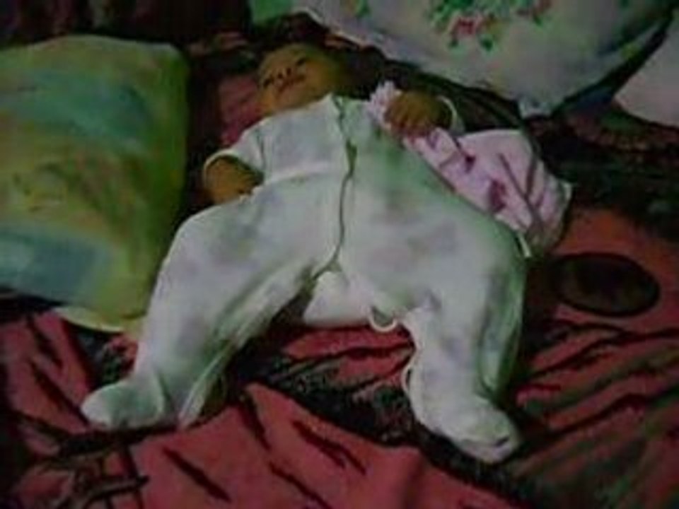 Pollito_dormilon