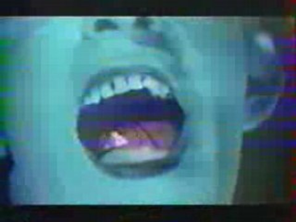 Clip- Les Beruriers Noirs - Bxn - 2 Clowns (Berurier-X-Noir