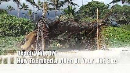 Beach Walk 674 - How to Embed Video in a Web Site