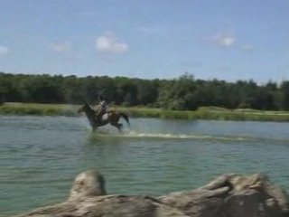 Romain et Dalton sur les troncs à réception dans le lac