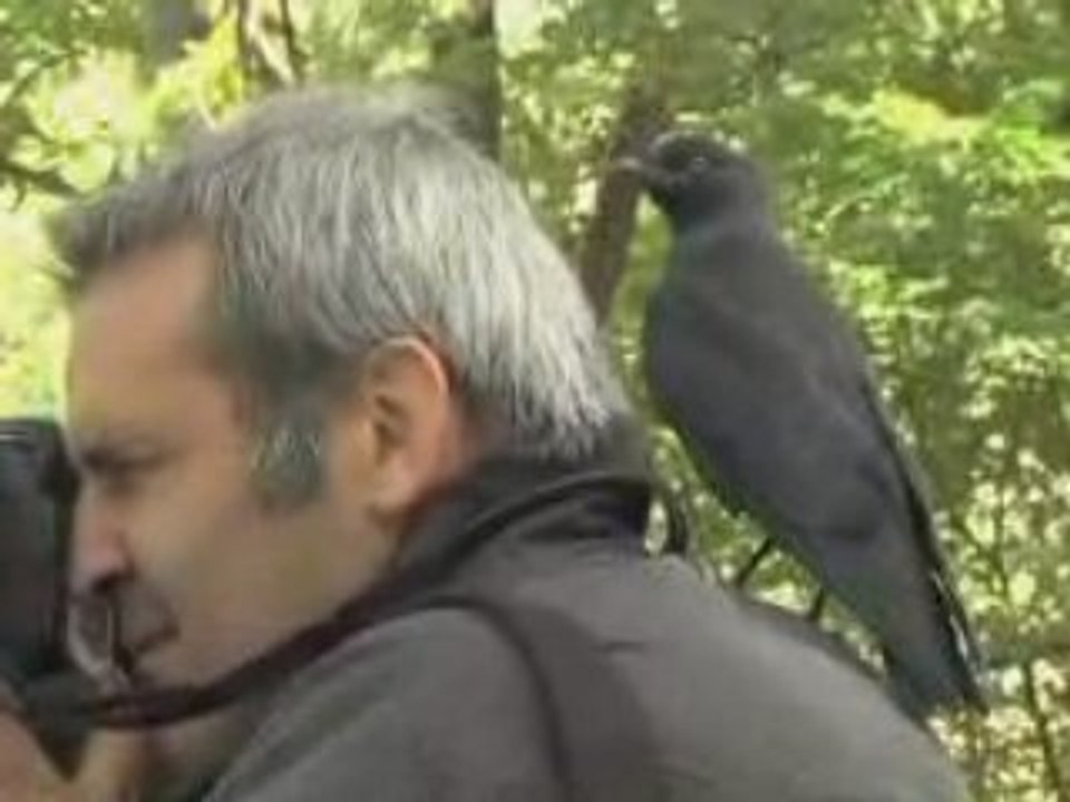 Forêt d'altitude à Rambouillet avec l' Odyssée verte  ®