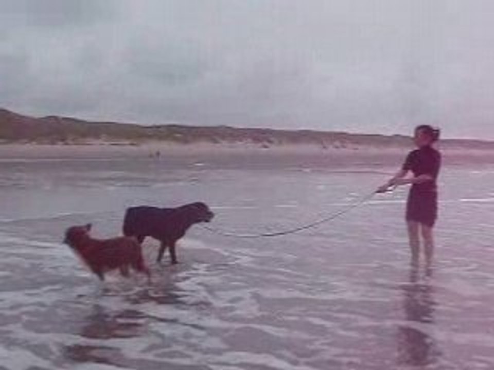 Belly à la mer ...