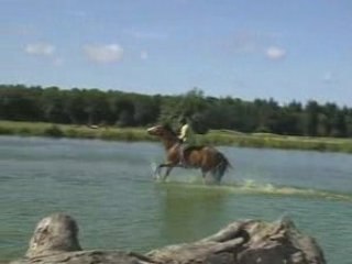 Moi et Macha à cru sur les troncs à réception dans le lac