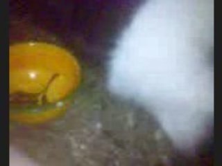 cochon d'inde qui mange lol...