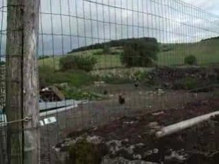 Au revoir au revoir.