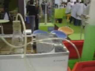 Pets des vaches l'expérience.