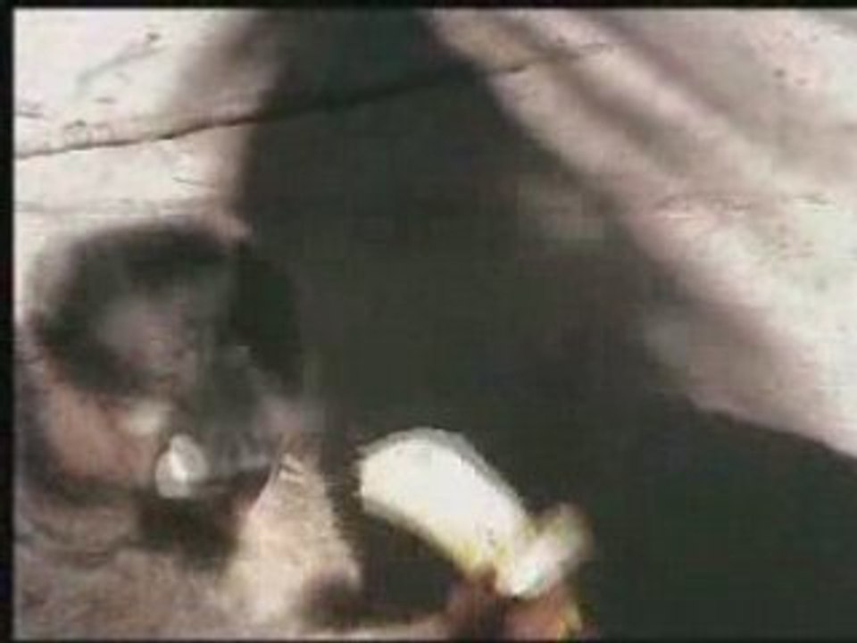 Lemurians in Madagascar