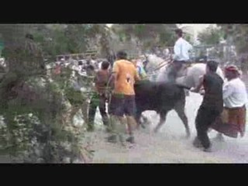 abrivados aspere 2008