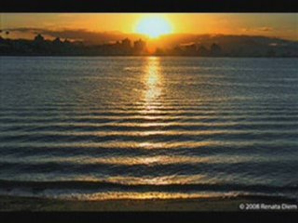 Milk inc  walk on water  flip & fill remix