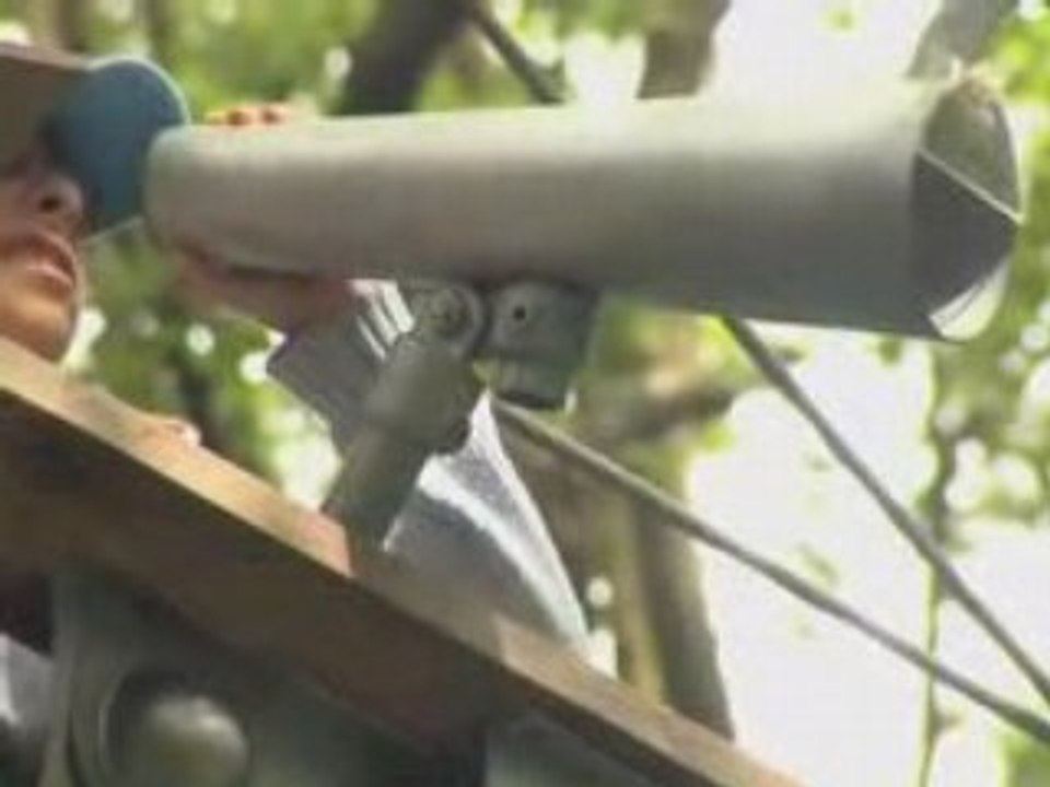 L'Odyssée des insectes - ONF