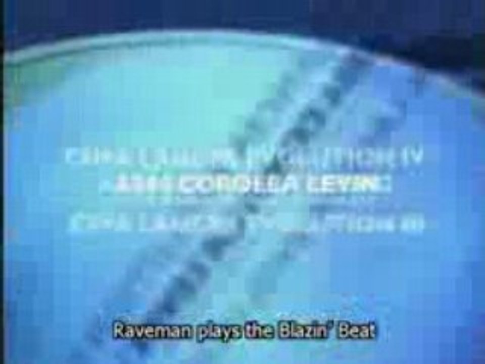 Amv initial D