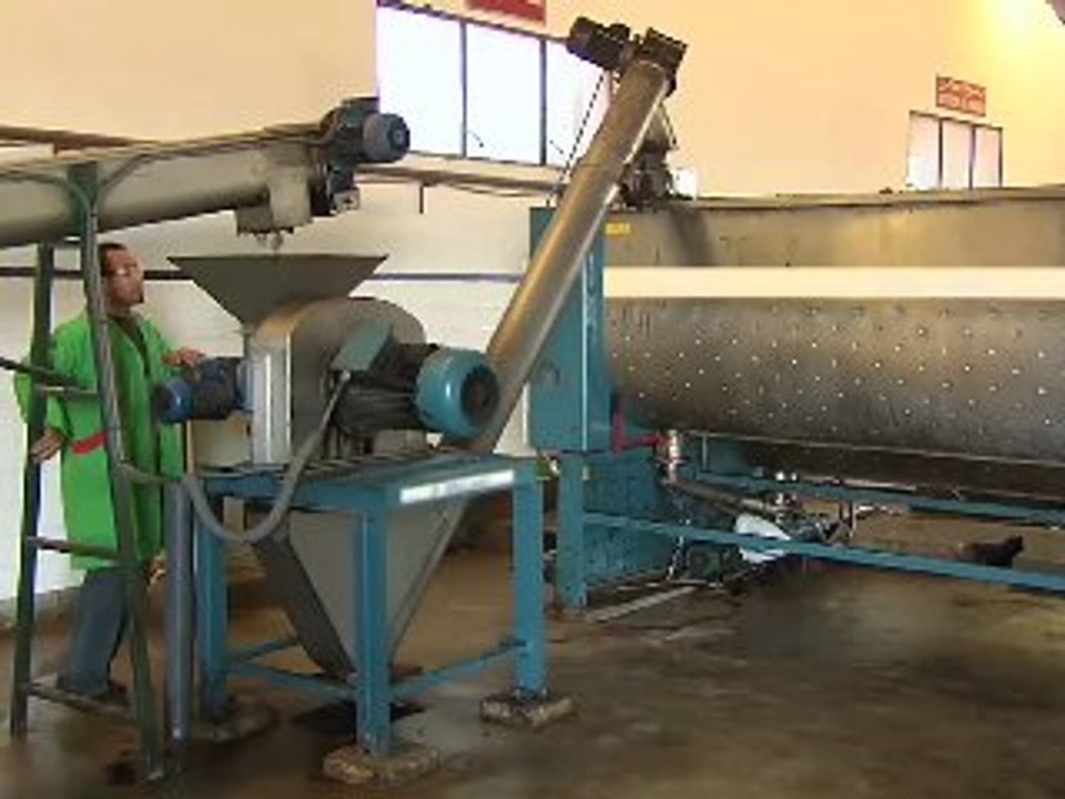 Marrakech et les Secrets de l'huile d'olive