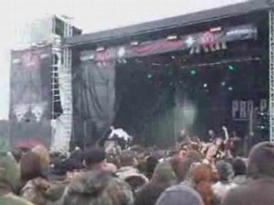 Summer Breeze 2008 - Pro Pain