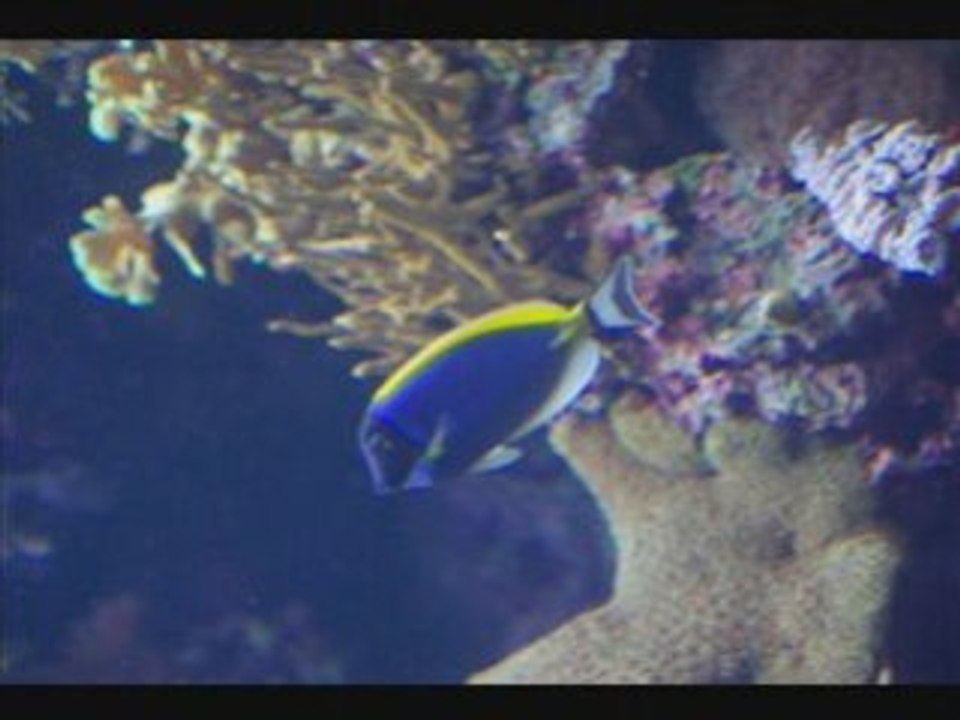 Vacances Portugal août 2008