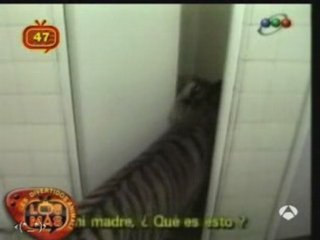 CHIER ?????? PAS LE TEMPS video drôle