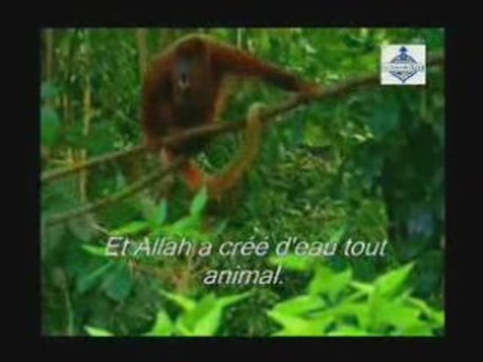 Dieu est Grand (ne voient-ils pas???)partie1