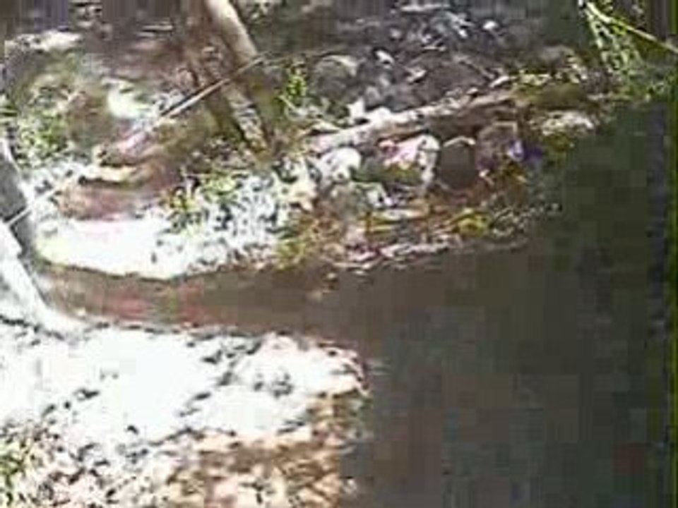 Video 12 - 02 Mar 70,ENDURODESGRENOUILLESSPECIALEXTREM 09h14