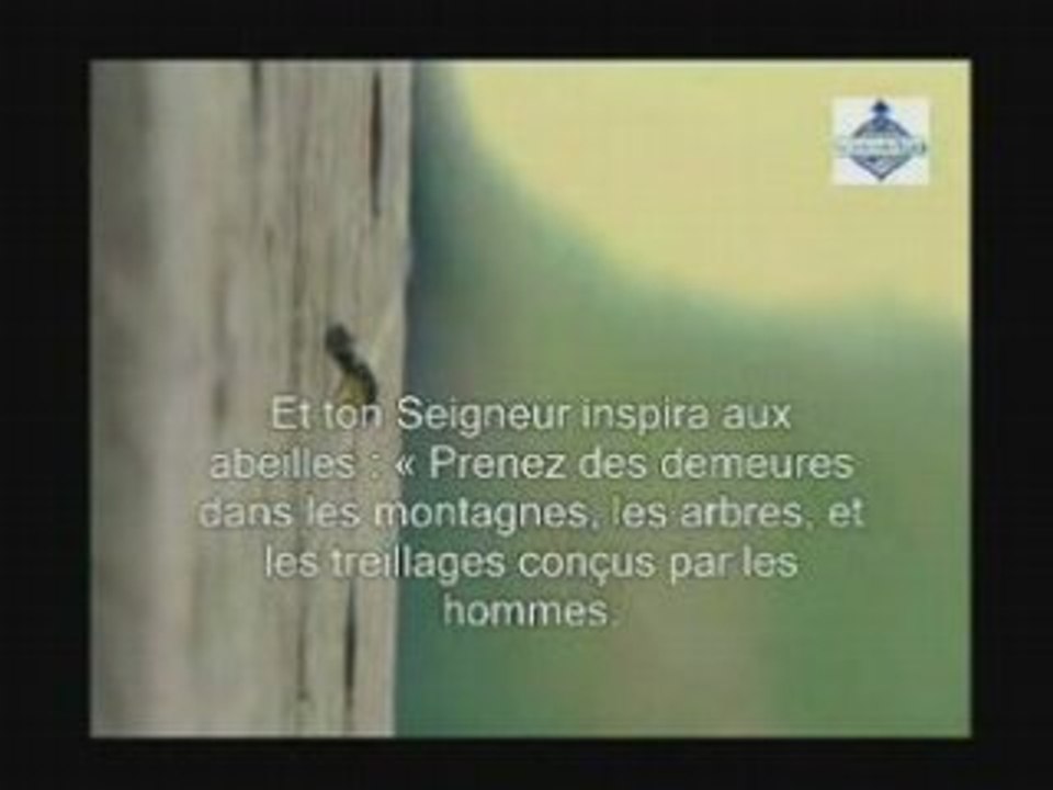 Dieu est Grand (ne voient-ils pas???)partie2