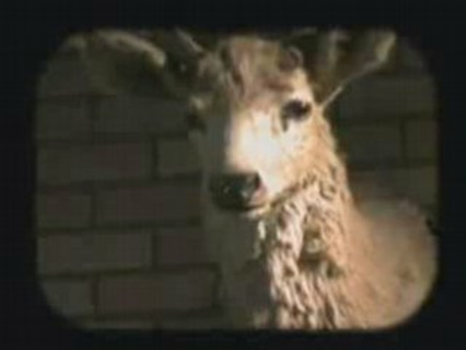 Strapping Young Lad - Love