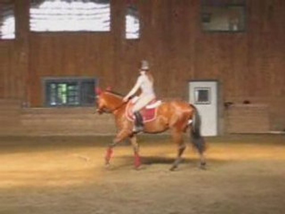 Lover Boy » Première fois sous selle » 2 sept 08