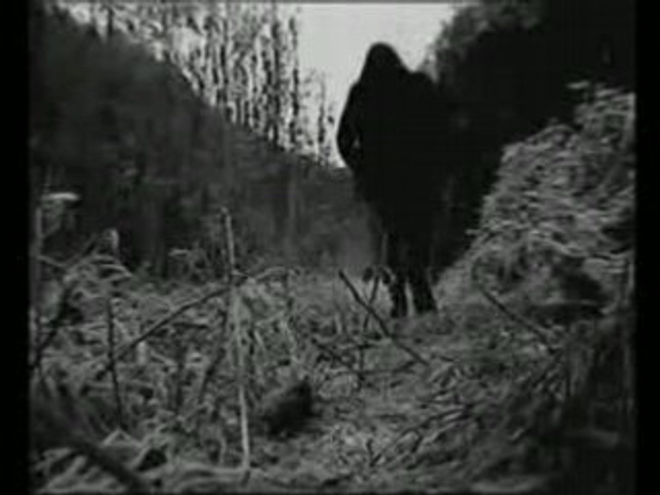 Nocturnal Depression - Host (clip entier)