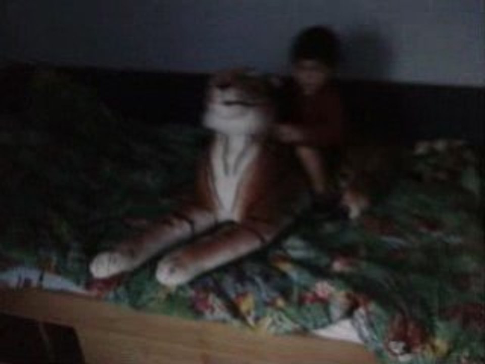 LGVR 03092008 rafael fait du tigre