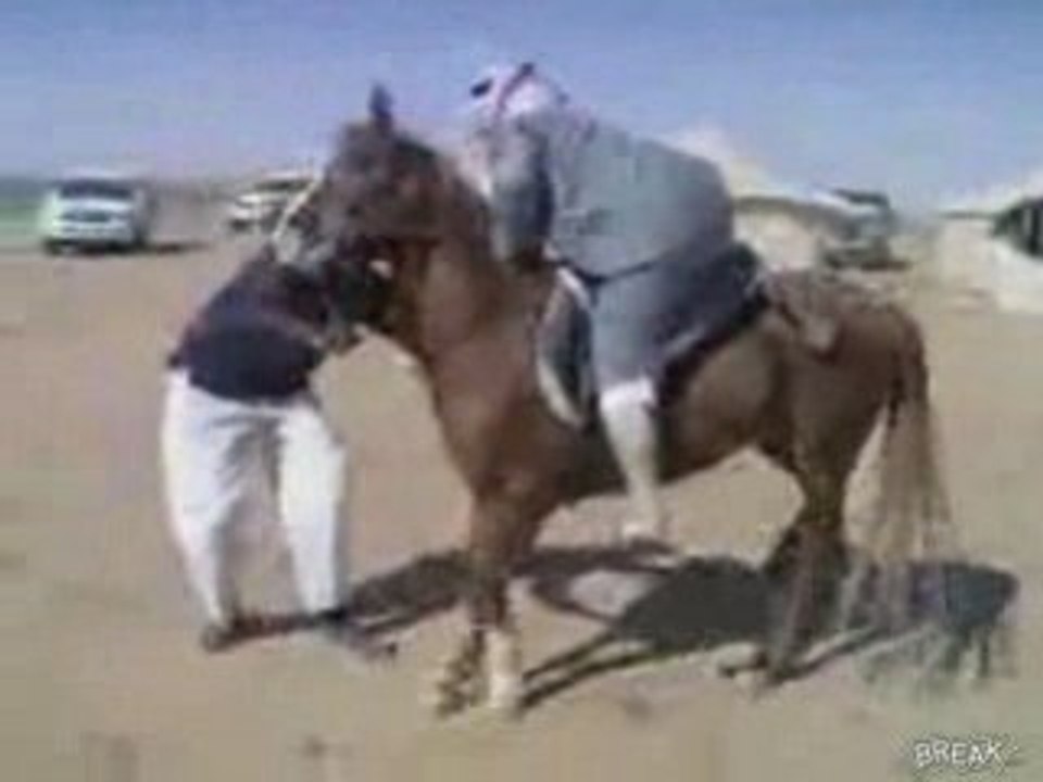 Comment monter à cheval