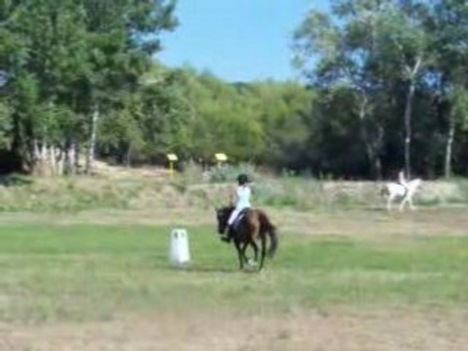 Dressage du GALOP 5