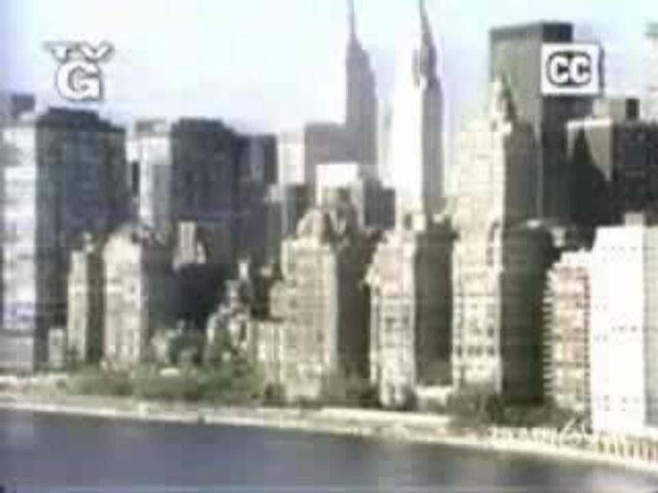 INTRO ARNOLD ET WILLY