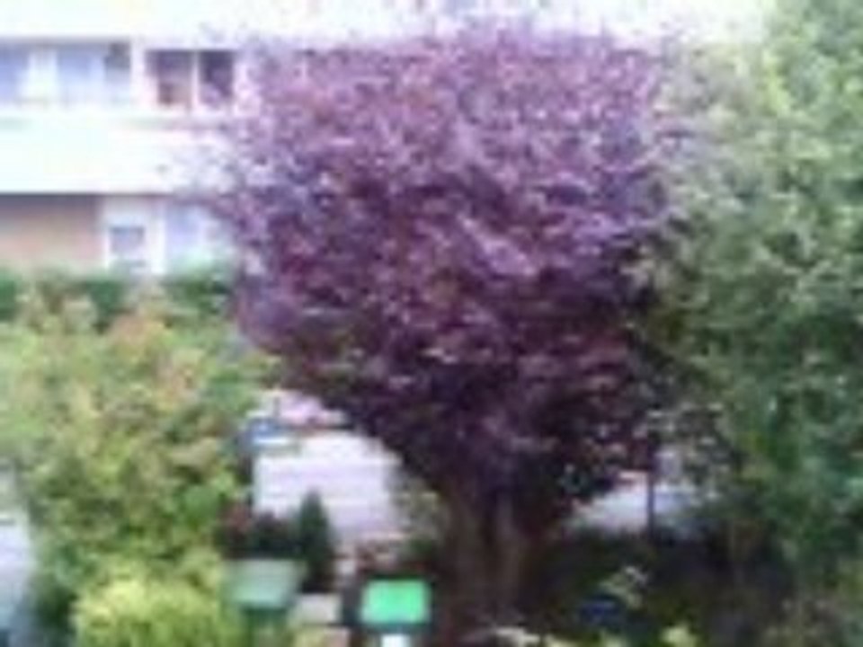 200606011940_004