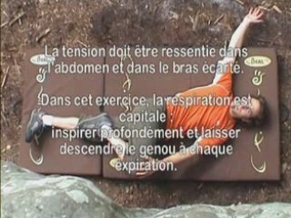 Obliques de l'abdomen