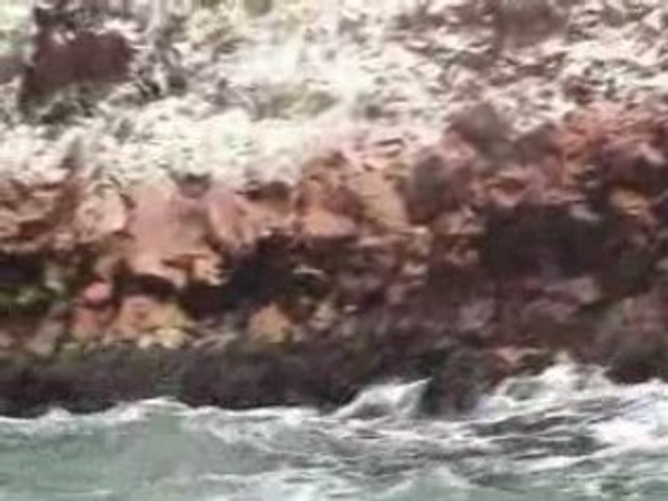 Tour 2 - 1. Paracas