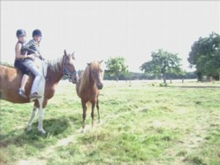 Meg' tipo' moi forver