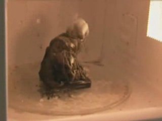 Portable au micro-ondes