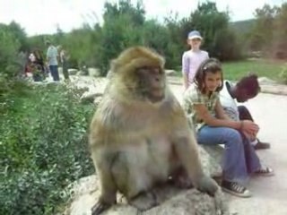 Vacances aout 2008 25