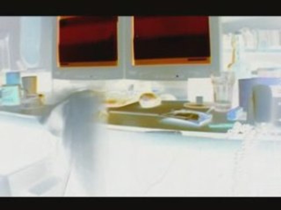 Endless | A Bird's Last Breath | 2003