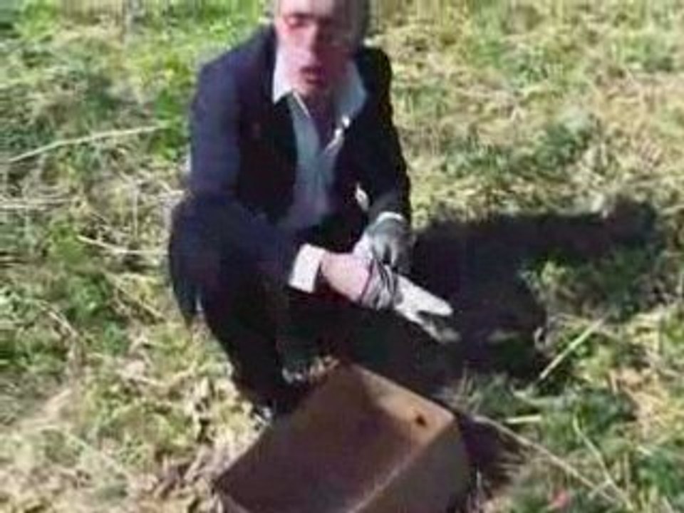 Peter Wahlbeck och Ivan Lagar mat