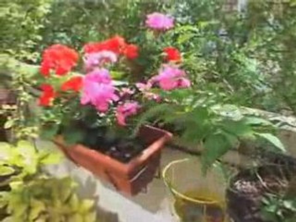 Les jardins du béton Saint-Blaise