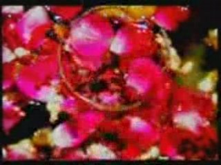 Lucky Ali - Chooriyan