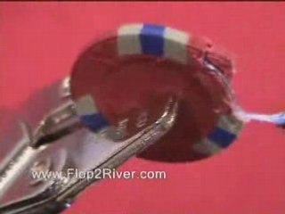 Lucky Bee Edge Spot NexGen Poker Chips