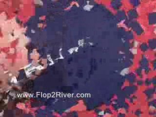 NexGen Lucky Bee 3 Tone Poker Chips