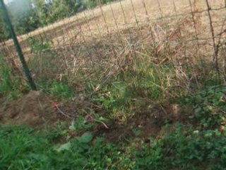 Régis (maxime) se prend une pomme a pleine vitesse