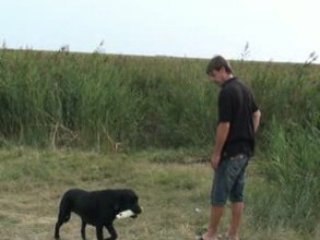 Caline du temps passé rapport marais septembre 08 Labradors