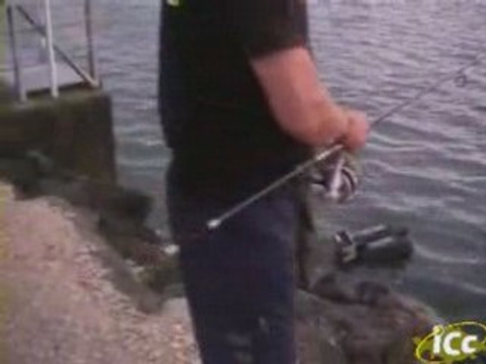 WCC 2008 Amorcage