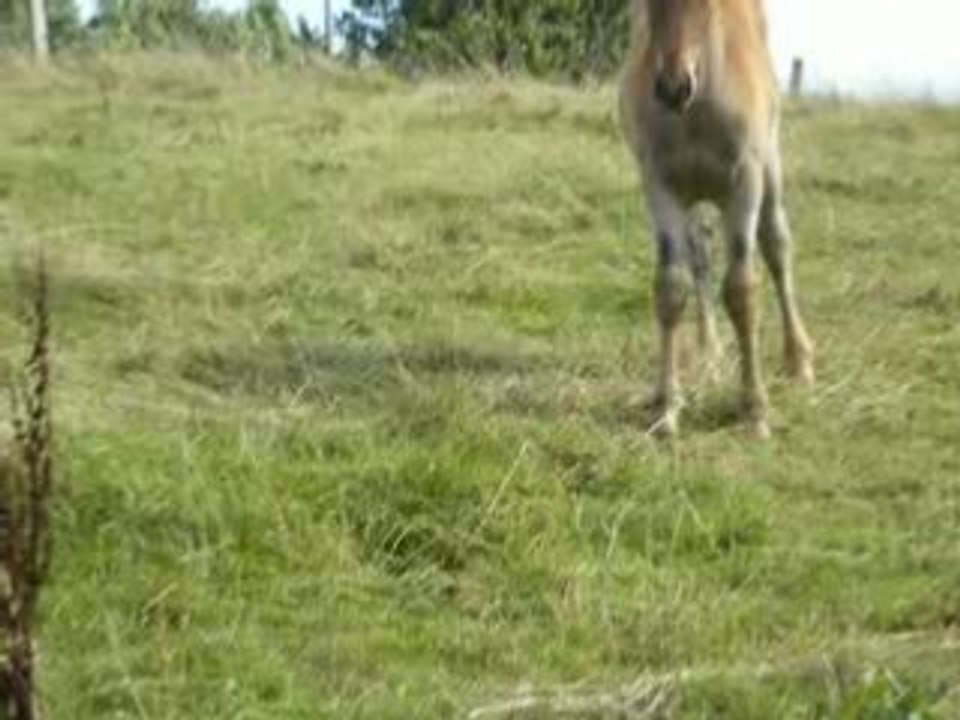 Ulyne 5septembre 08 098