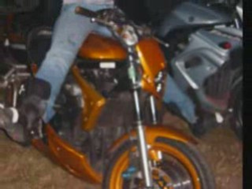 Porcaro 2008
