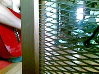 remix bob revolution by BF