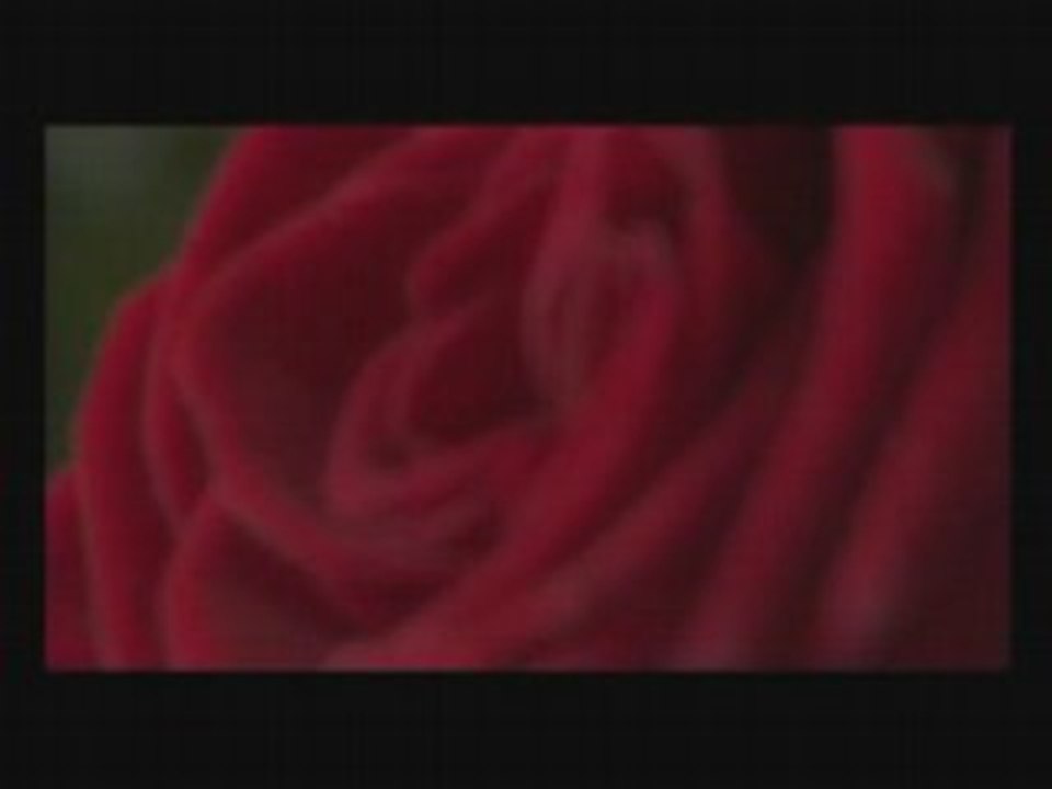 Animation mariage
