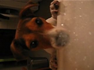 Daïa et la mousse du bain...