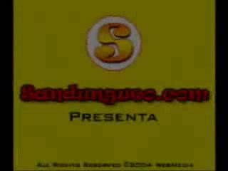 Don Omar - Reggaeton Latino
